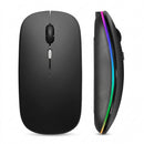 Mouse Sem Fio 2.4GHz Ergonômico 1600DPI